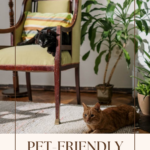 Pet-Friendly House Plants