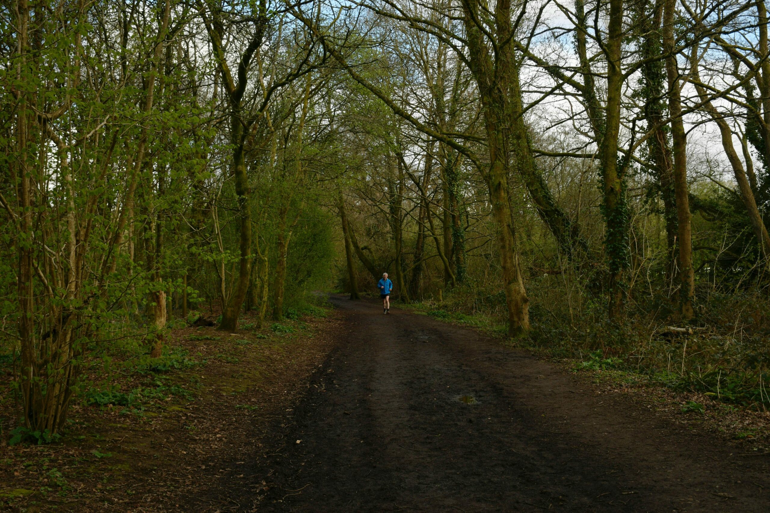 Running for Mental Health